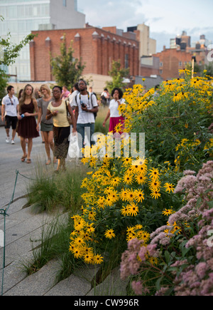 New York, New York - The High Line, eine verlassene erhöhte Eisenbahn verwandelte sich in eine lineare Stadtpark. Stockfoto
