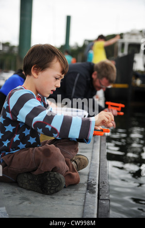 Krabben in Fowey Harbour in Cornwall, England, Vereinigtes Königreich Stockfoto