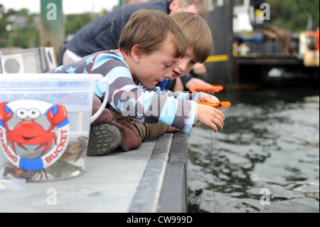 Krabben in Fowey Harbour in Cornwall, England, Vereinigtes Königreich Stockfoto