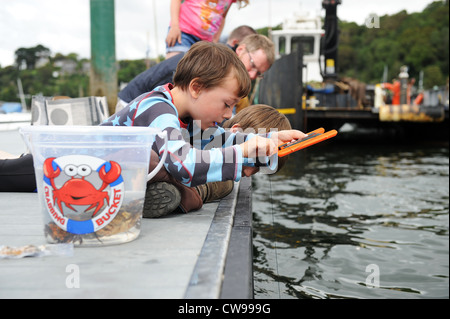 Krabben in Fowey Harbour in Cornwall, England, Vereinigtes Königreich Stockfoto