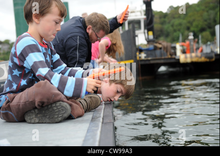 Krabben in Fowey Harbour in Cornwall, England, Vereinigtes Königreich Stockfoto