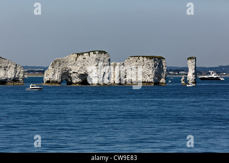 Old Harry rocks Purbeck, Dorset, Großbritannien Stockfoto