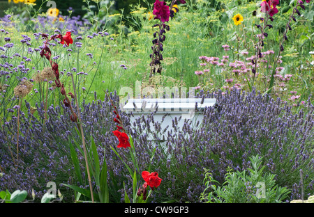Bunte Blumenbeete im Garten Landhausstil. Gemischte Pflanzung von