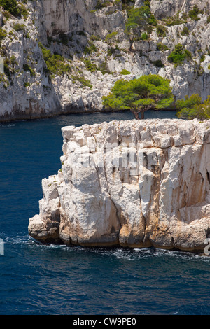 Felsigen Punkt in den Calanques bei Cassis, Bouches-du-Rhône, Cote d ' Azur, Provence Frankreich Stockfoto