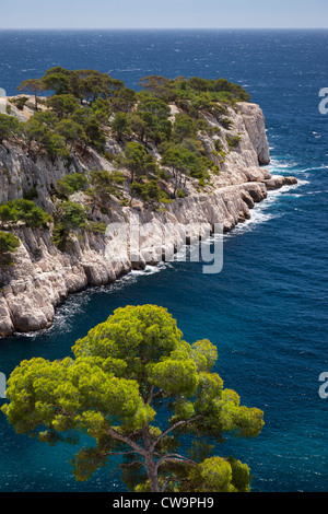 Felsigen Punkt in den Calanques bei Cassis, Bouches-du-Rhône, Cote d ' Azur, Provence Frankreich Stockfoto