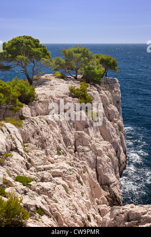 Felsigen Punkt in den Calanques bei Cassis, Bouches-du-Rhône, Cote d ' Azur, Provence Frankreich Stockfoto