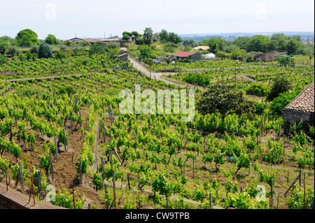 Weingut Taormina Sizilien Mediterranean Sea Island Stockfoto