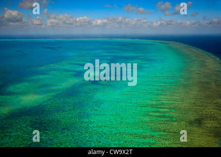 Luftbild von Upolu Cay und Korallenriff und Muschel Betten im Korallenmeer am Great Barrier Reef vor der Küste von Queensland Australien Stockfoto