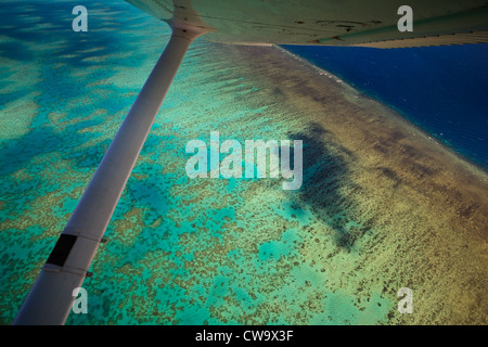 Luftbild von Upolu Cay und Korallenriff und Muschel Betten im Korallenmeer am Great Barrier Reef vor der Küste von Queensland Australien Stockfoto