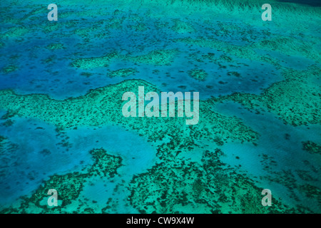 Luftaufnahme von Upolu Cay und Korallenriff und clam Betten am Great Barrier Reef Coral Sea an der Küste von Queensland Australien Stockfoto