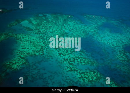 Luftbild von Upolu Cay und Korallenriff und Muschel Betten im Korallenmeer am Great Barrier Reef vor der Küste von Queensland Australien Stockfoto