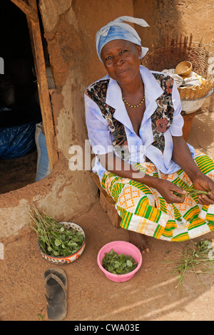 Frau, Reinigung Grüns außerhalb ihrer Lehmhütte, Gambaga, Ghana Stockfoto