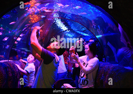 Besucher auf der Suche und das Sea Life am Loch Lomond Aquarium zu fotografieren Stockfoto