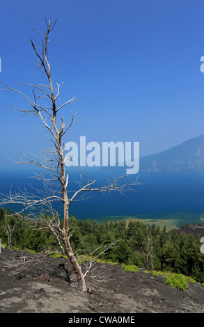 Blick vom Krakatau (Krakatau) Vulkan mit Blick auf Rakata Insel in der Sunda-Straße. Stockfoto