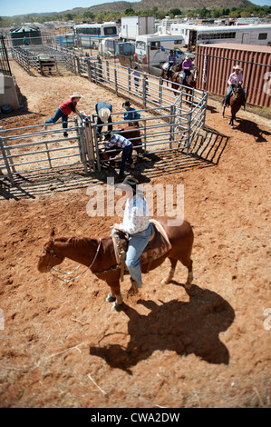 Männer und Frauen auf dem Pferderücken warten an den Rutschen für ihren Anruf Ar Mount Isa Rodeo im Outback von Queensland Stockfoto