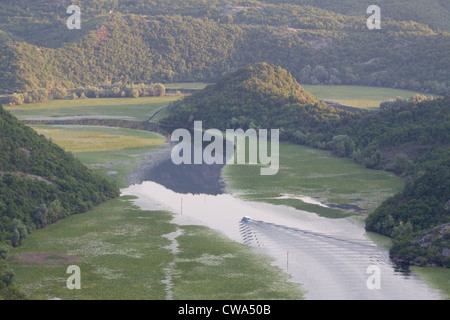 Shkoder See, Montenegro Stockfoto