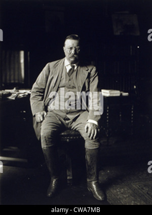 Theodore Roosevelt in seiner Bibliothek in Oyster Bay N.Y 1912, das Jahr, er sein Nachfolger, William Taft,, für Herausforderung würde, die Stockfoto