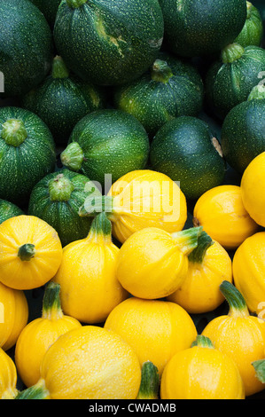 Runde gelbe und grüne Zucchini Stockfoto