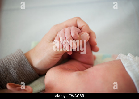 Mutter des neugeborenen Babys Hand hält Stockfoto