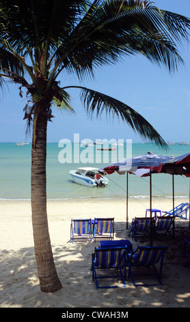 Bangkok, Palme am Strand in Pattaya Stockfoto