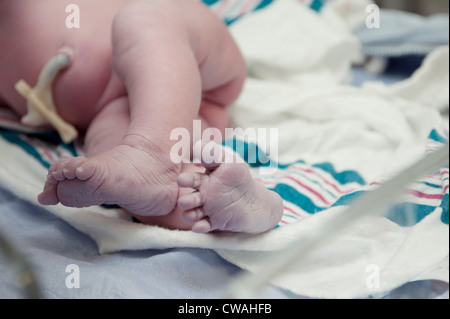 Neugeborenes Babymädchen Füße, Nahaufnahme Stockfoto