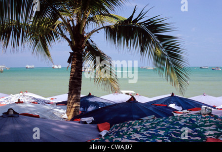 Bangkok, Palm überragt die Sonnenschirme am Strand von Pattaya Stockfoto