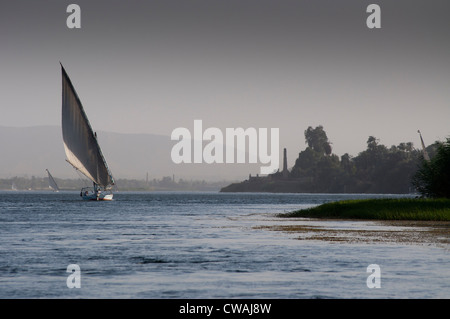 Feluken auf dem Nil bei Luxor bei Sonnenuntergang zu segeln.  Fruchtbare Felder heruntergekommen, das Flussufer am Westufer. Stockfoto