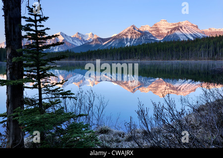 Herbert See und Bogen Reichweite, Banff Nationalpark, Alberta, Kanada Stockfoto