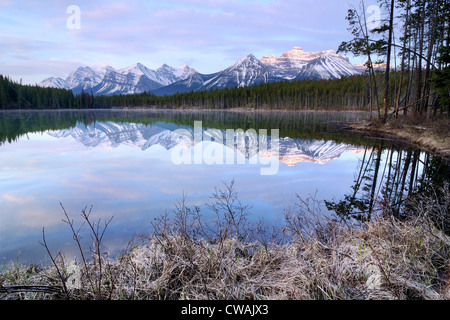 Herbert See und Bogen Reichweite, Banff Nationalpark, Alberta, Kanada Stockfoto