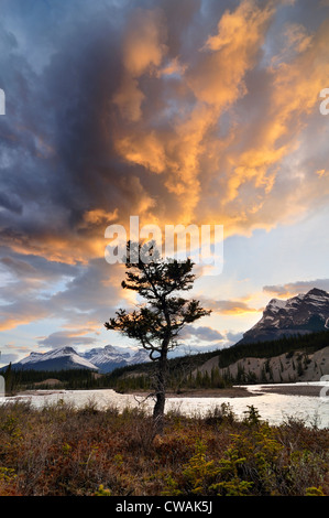 North Saskatchewan River, Mount Erasmus und Mount Wilson, Banff Nationalpark, Alberta, Kanada Stockfoto