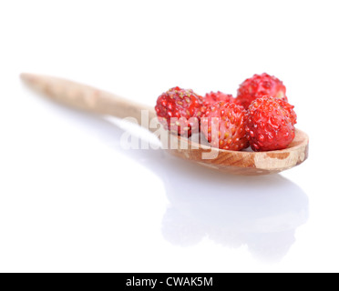 Erdbeeren in kleine Holzlöffel mit weichen Schatten auf weißem Hintergrund. Geringe Schärfentiefe. Stockfoto