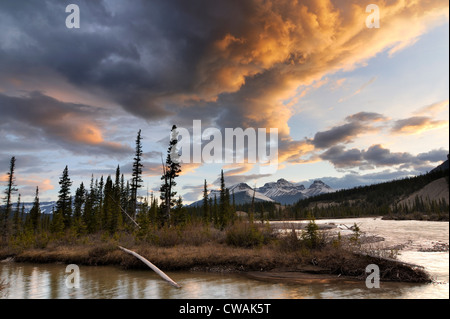 North Saskatchewan River, Mount Erasmus, Banff Nationalpark, Alberta, Kanada Stockfoto