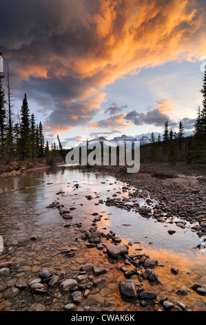 North Saskatchewan River, Mount Erasmus, Banff Nationalpark, Alberta, Kanada Stockfoto