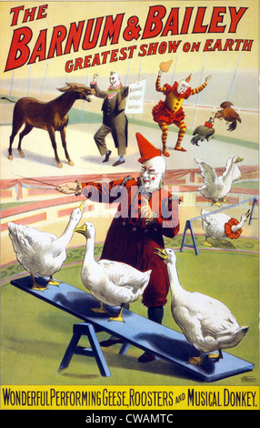 Clowns durchführen mit Gänse, Hähne und musikalische Esel im Zirkus Barnum & Bailey. Plakat, ca. 1900. Stockfoto