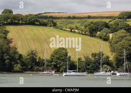 Boote auf dem Fluss Dart Stockfoto