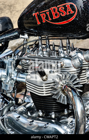 Tribsa custom Motorradmotor Stockfoto