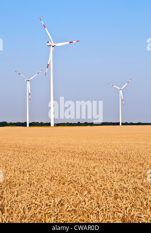 Windpark Turbinen in einem Weizenfeld Stockfoto