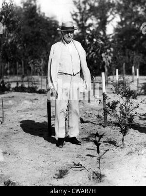 Thomas Edison experimentiert mit seinem Gummibaum-Garten in seinem Winterquartier in Fort Meyers, Florida. 18.01.29. Höflichkeit CSU Stockfoto