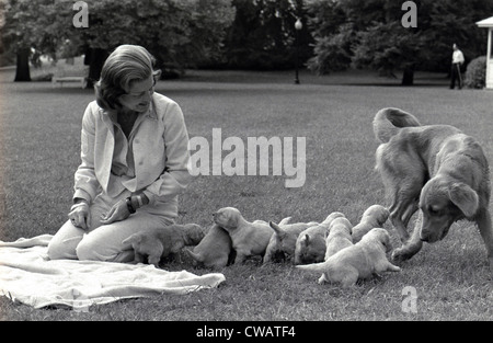 First Lady Betty Ford und die Familie Haustier golden Retriever, Liberty, wachen über ihre acht Welpen auf dem South Lawn von der Stockfoto