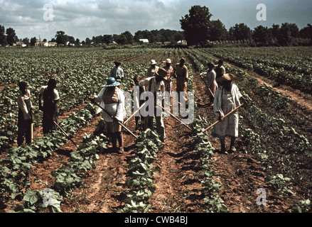 Pächter im Bayou Bourbeau Plantage, eine Genossenschaft gegründet durch die Zusammenarbeit von FSA, Natchitoches, La, Stockfoto