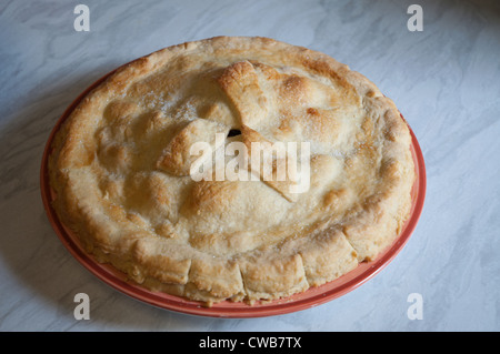 Hausgemachtes Blackberry und Apple Pie gemacht mit selbst angebautem Obst, frisch aus dem Ofen Stockfoto