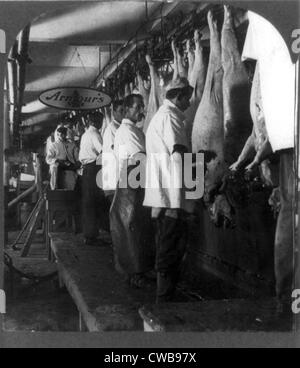 Hog Schaben Schiene. Meatpacking Pflanze Arbeiter entfernen Haare aus Schwein Karkassen. Rüstung der Verpackungsanlage, Chicago, 1909 Stockfoto