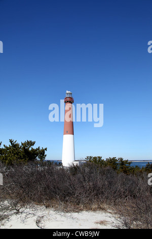 Barnegat Lighthouse, Long Beach Island, NJ, USA Stockfoto