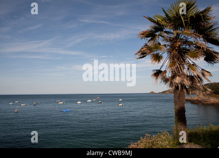 Bouley Bay Jersey, Kanalinseln Stockfoto