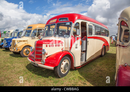 Einzigen Decker Busse auf dem Display an South Cerney Flugplatz, Cirencester, Cotswolds, England, UK Stockfoto