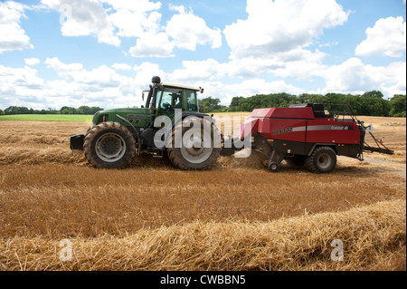 Ernte Getreide Produzent Stockfoto