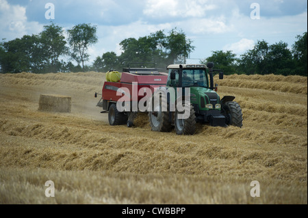 Ernte Getreide Produzent Stockfoto