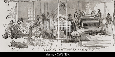 Entkörnung von Baumwolle durch Dampf angetrieben Gin im Jahre 1861. US-Baumwoll-Produktion versorgt die Textilfabriken der Norden der USA und Großbritannien, Stockfoto