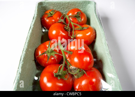 Strauchtomaten, verpackt in einem Karton Teller mit Folie Stockfoto