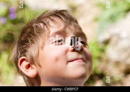 Kleiner Junge lächelnd mit Schmetterling auf seiner Nase im Sommer Stockfoto